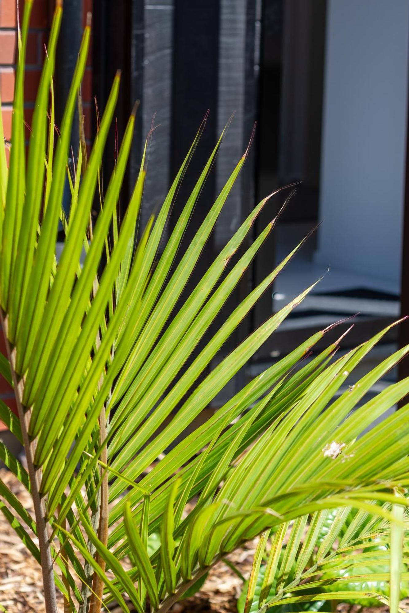 Conveniently Located 2Br Townhouse In West Akl Apartman Auckland Kültér fotó